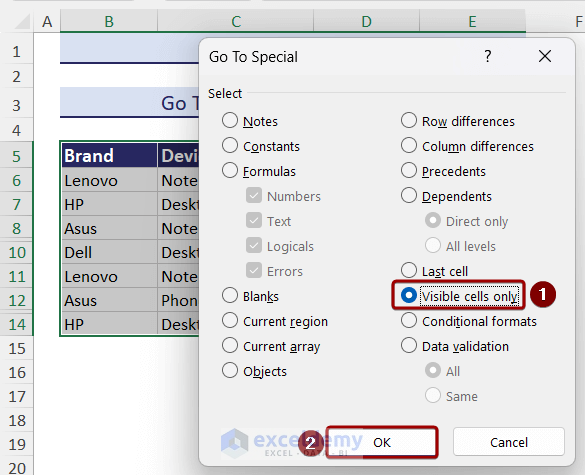 Select Visible cells only option from the Go To Special dialog box