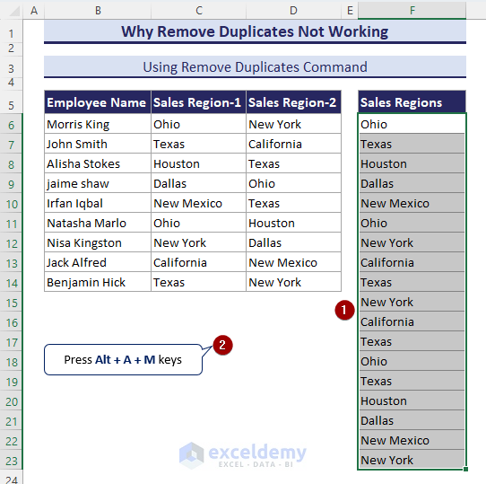 Applying keyboard shortcut to remove duplicates in Excel